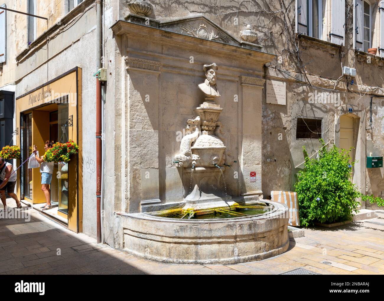 La Fontana di Nostradamus nel centro storico medievale di Saint-Remy-de-Provence, Francia, nella regione Provenza Costa Azzurra della Francia meridionale. Foto Stock