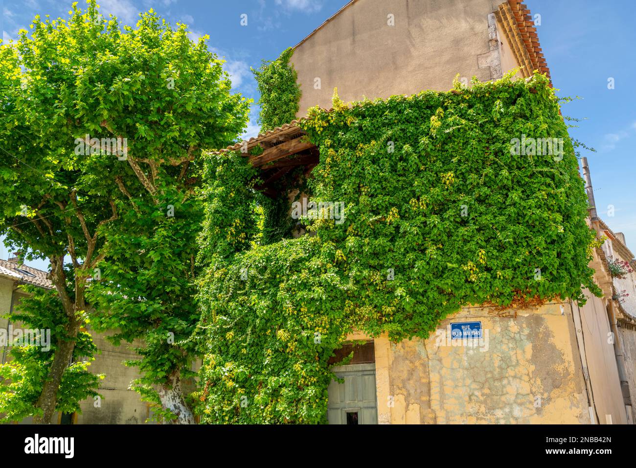 Un edificio storico coperto di edera nella città vecchia medievale di Saint Remy nella regione Provenza Costa Azzurra della Francia meridionale. Foto Stock
