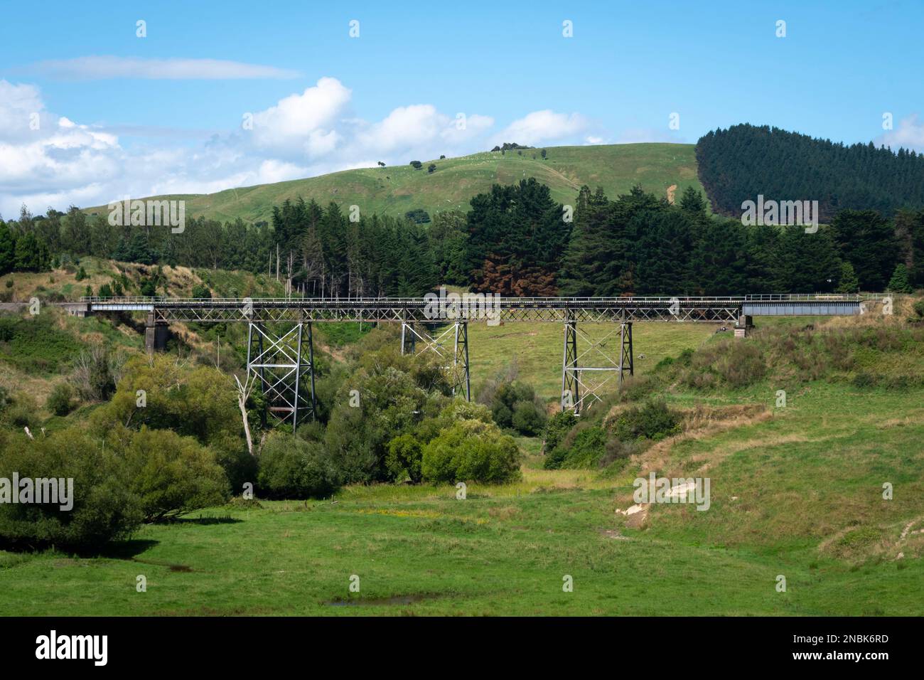 Viadotto ferroviario, Ormondville, Tararua District, North Island, Nuova Zelanda Foto Stock