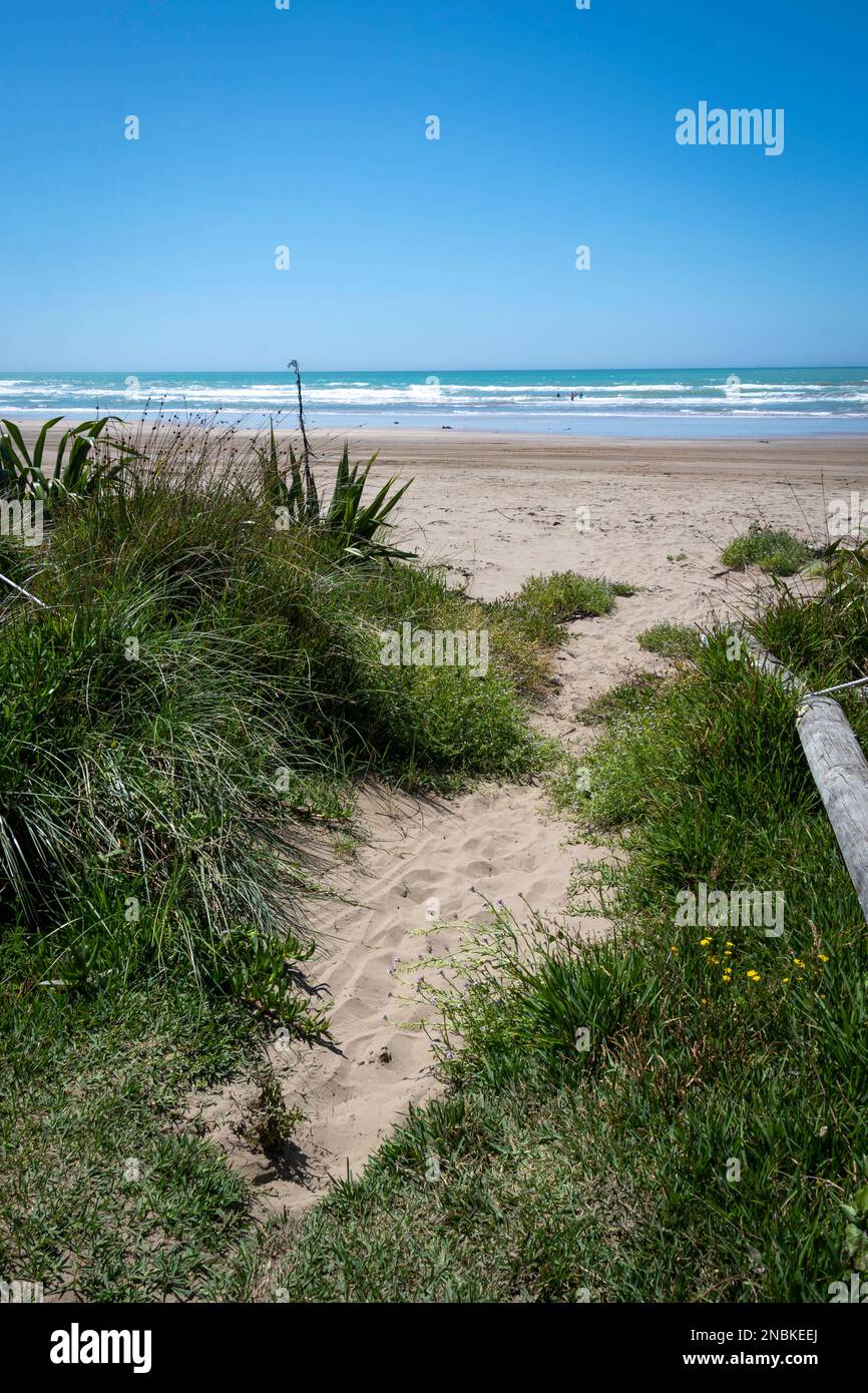 Percorso attraverso le dune fino alla spiaggia, Pourerere Beach, Central Hawkes Bay, North Island, Nuova Zelanda Foto Stock