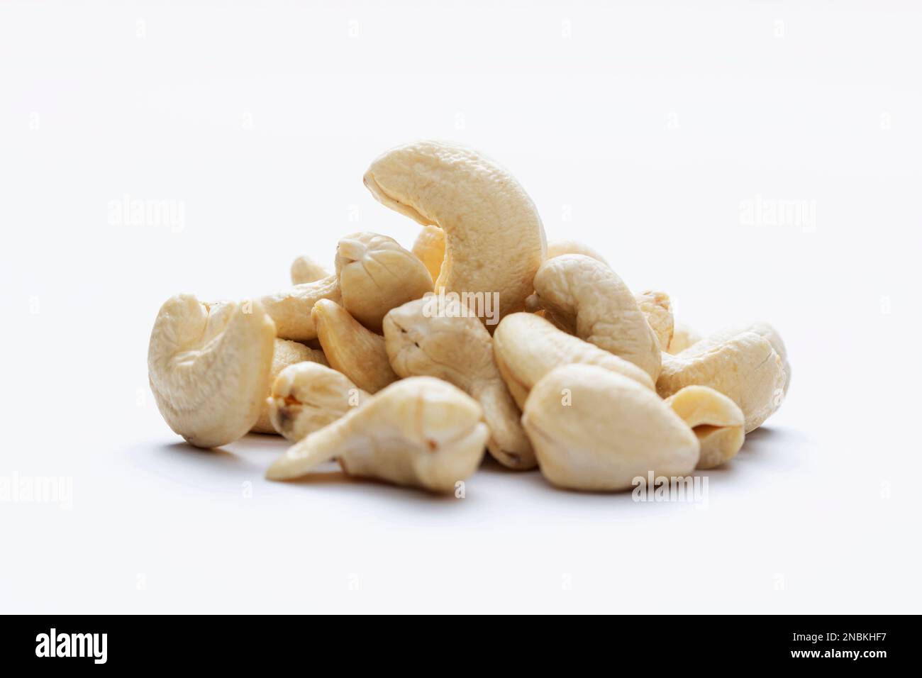 Anacardium occidentale, Satara, Maharashtra, India Foto Stock