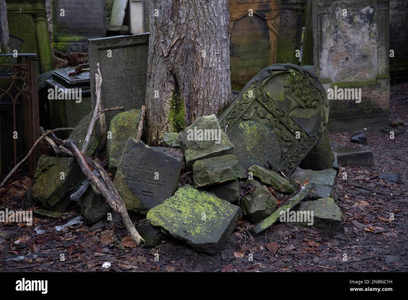 Tombe rotte nel cimitero ebraico di Varsavia in via Okopowa, uno dei più grandi cimiteri ebrei in Europa e nel mondo Varsavia Polonia Foto Stock