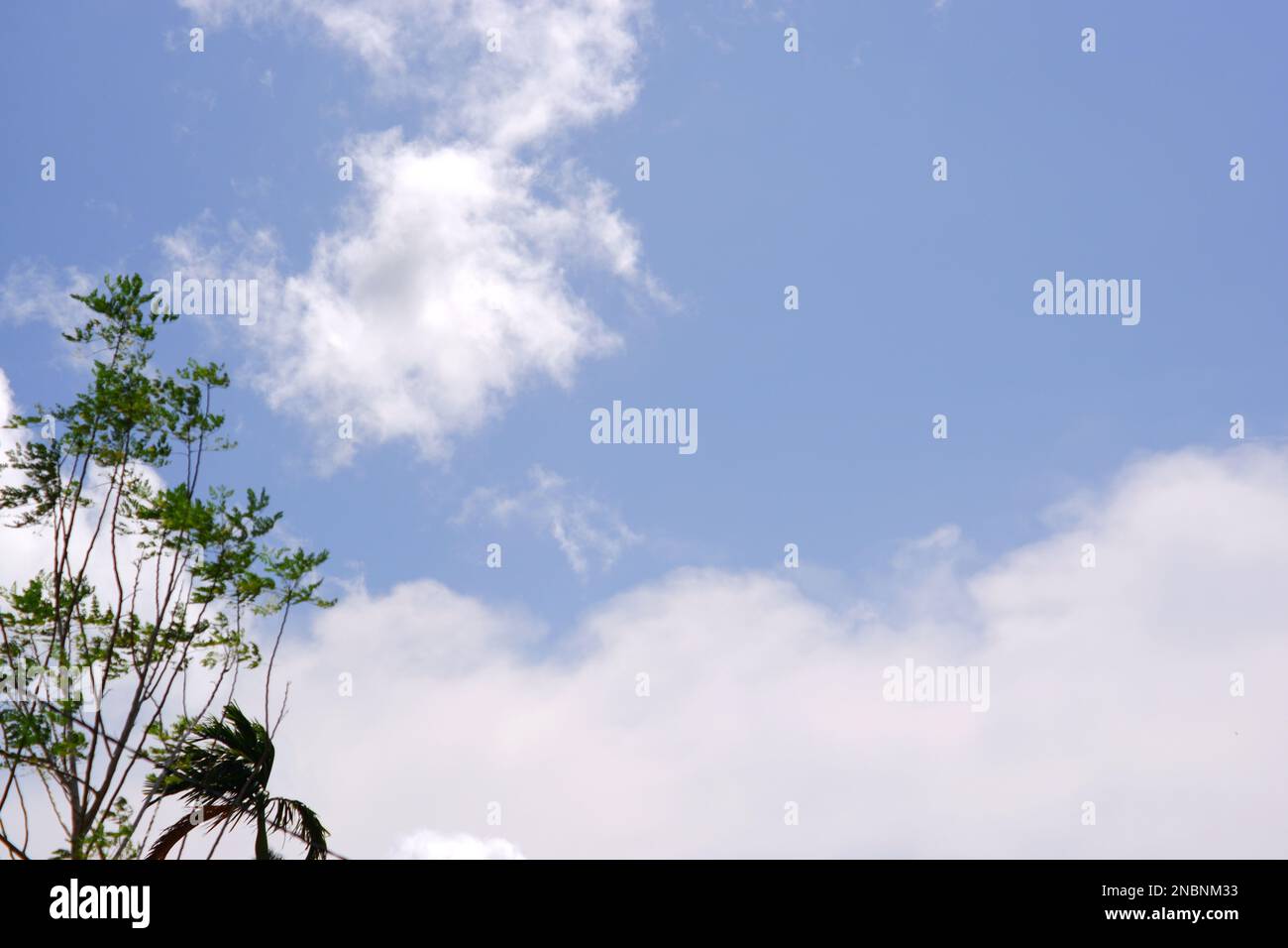 Cielo blu con nuvole pure bianche durante il giorno Foto Stock