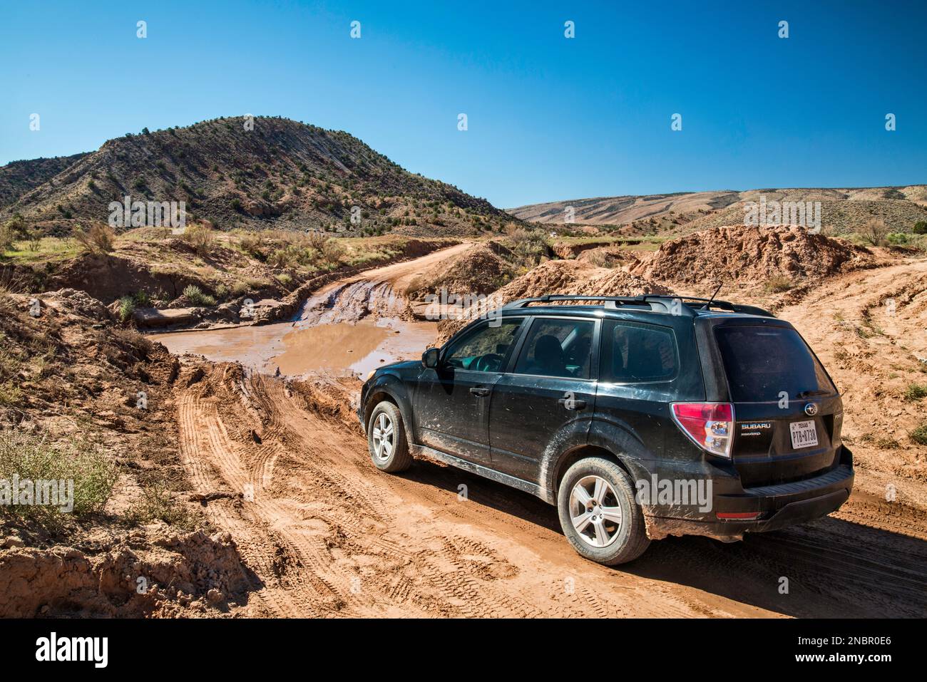 Attraversamento di acque di alluvione a Buckskin Gulch, House Rock Valley Road, Paria Canyon Vermillion Cliffs Wilderness, Utah, USA Foto Stock