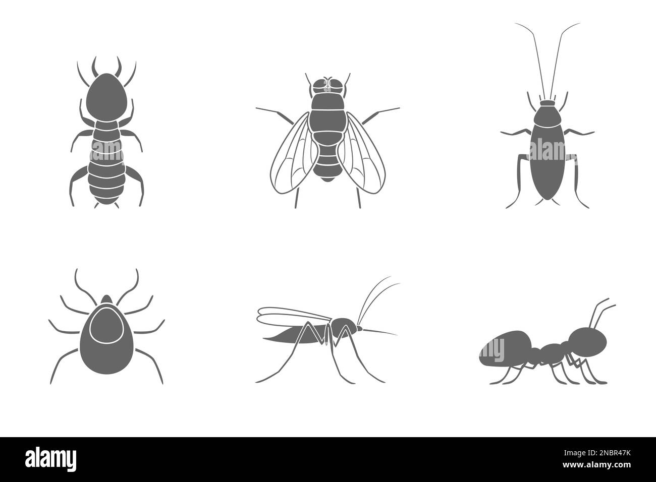 Set di sagome di insetti. Scarafaggio, termite, zanzara, mosca, formica e zecca. Vettore. Illustrazione Vettoriale