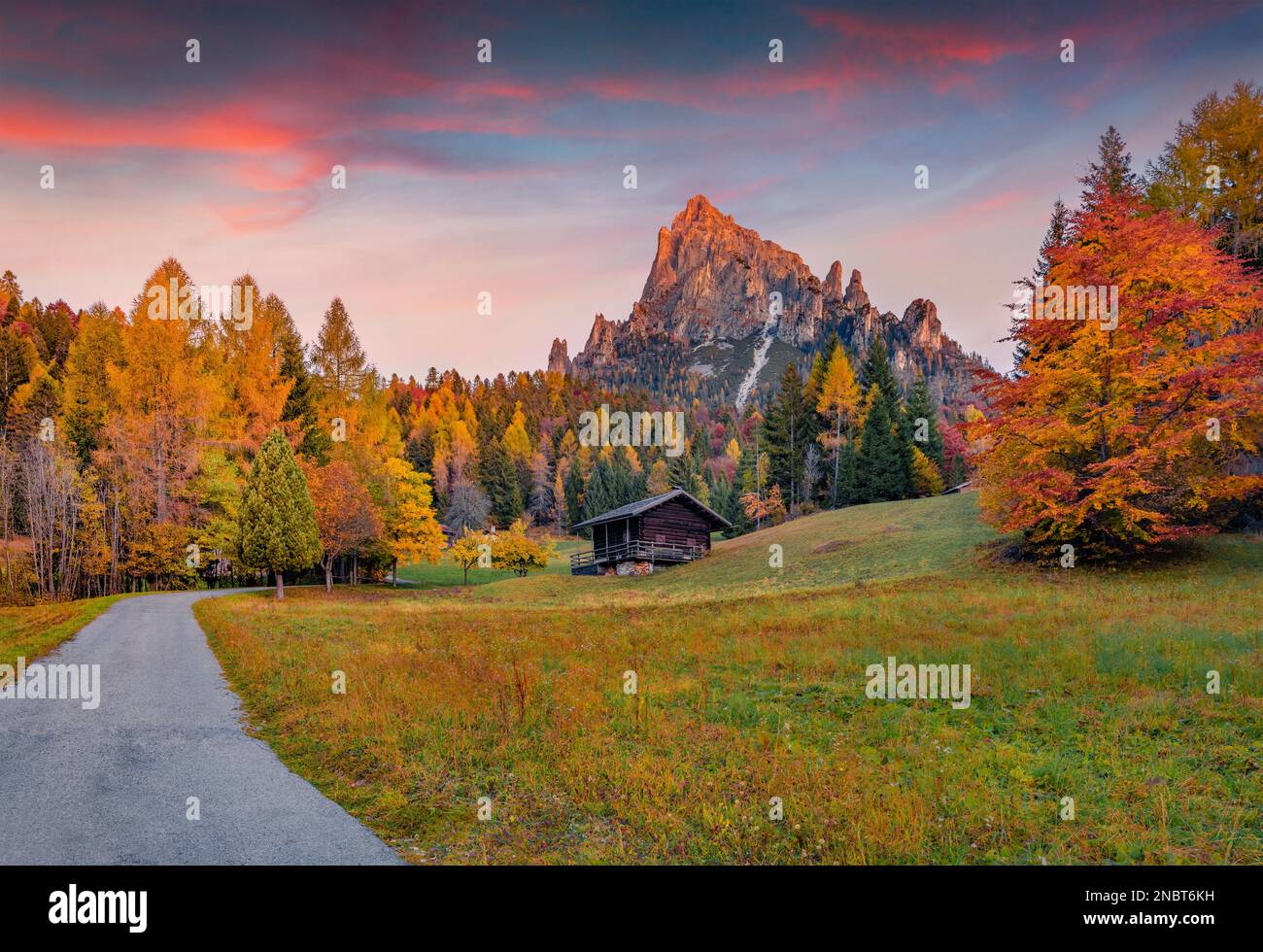 Splendida vista autunnale sulla valle di canali, località Piereni, provincia di Trento, Italia, Europa. Spettacolare scena mattutina delle Alpi dolomitiche. Bellezza del paese Foto Stock