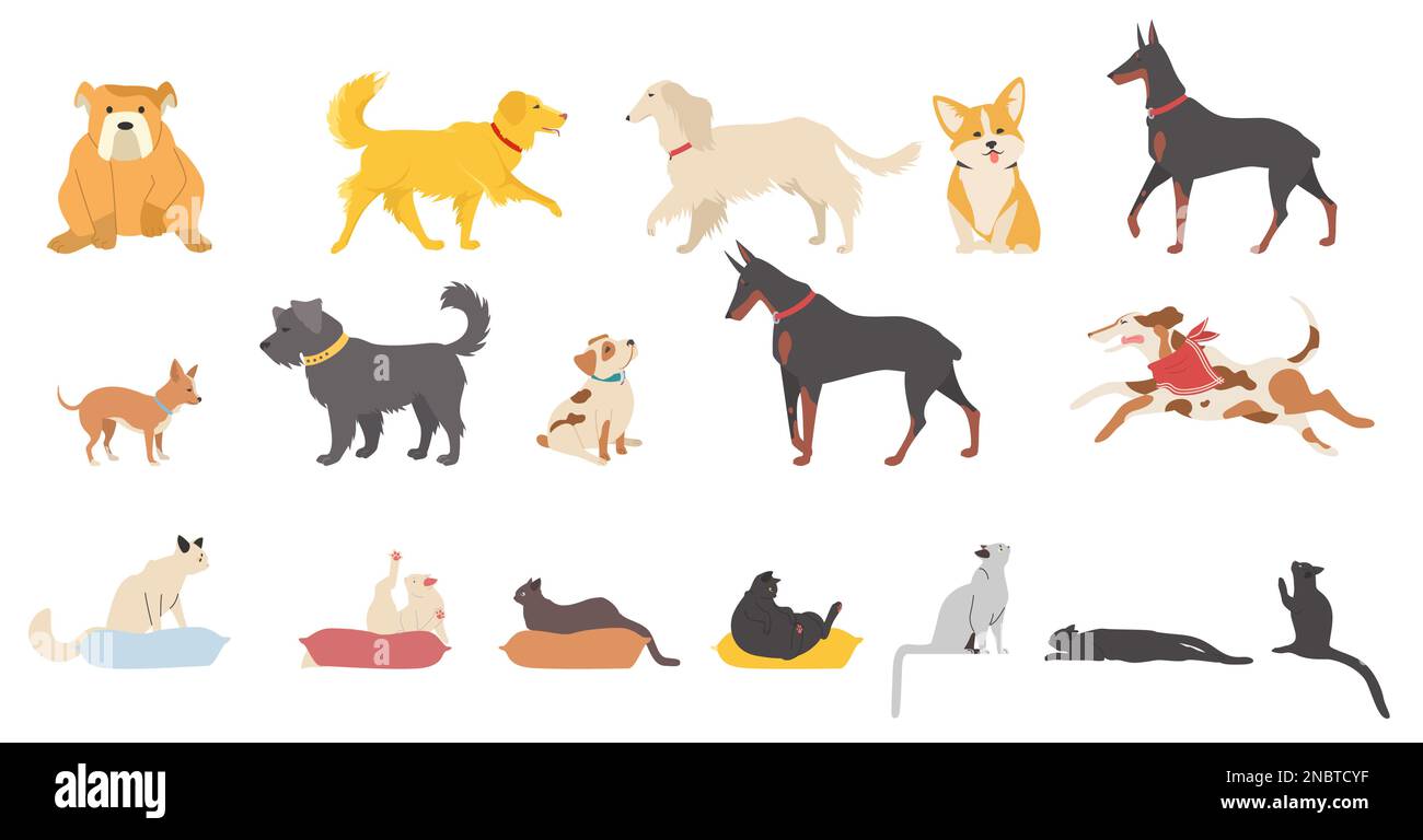 Animali domestici gatti vettoriali e cani isolati set su bianco Illustrazione Vettoriale