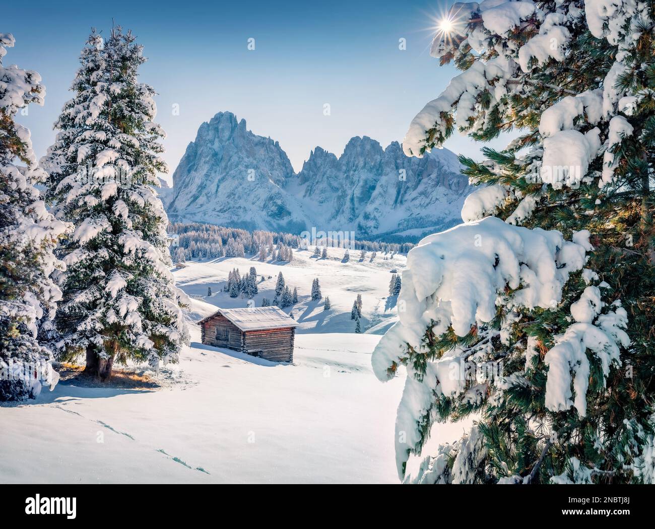 Cartolina di Natale. Favolosa vista invernale del villaggio dell'Alpe di Siusi con la cima di Plattkofel sullo sfondo. Splendida vista mattutina sulle Alpi dolomitiche. Meraviglioso Foto Stock