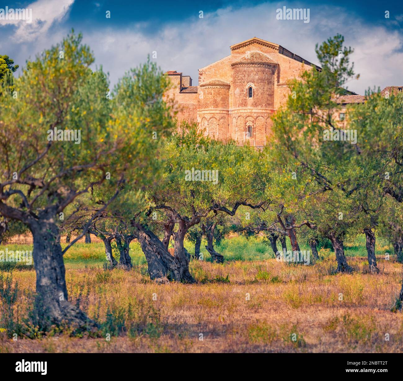 Impressionante vista estiva dell'Abbazia di San Giovanni in Venere. Meravigliosa scena all'aperto di uliveto in Italia, Europa. Concetto di viaggio sfondo. Foto Stock
