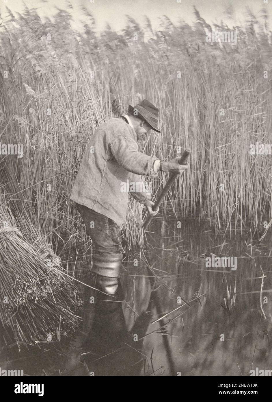 Peter Henry Emerson - la vita e il paesaggio sui Broads di Norfolk - 1886 - Un taglierino del Reed al lavoro Foto Stock