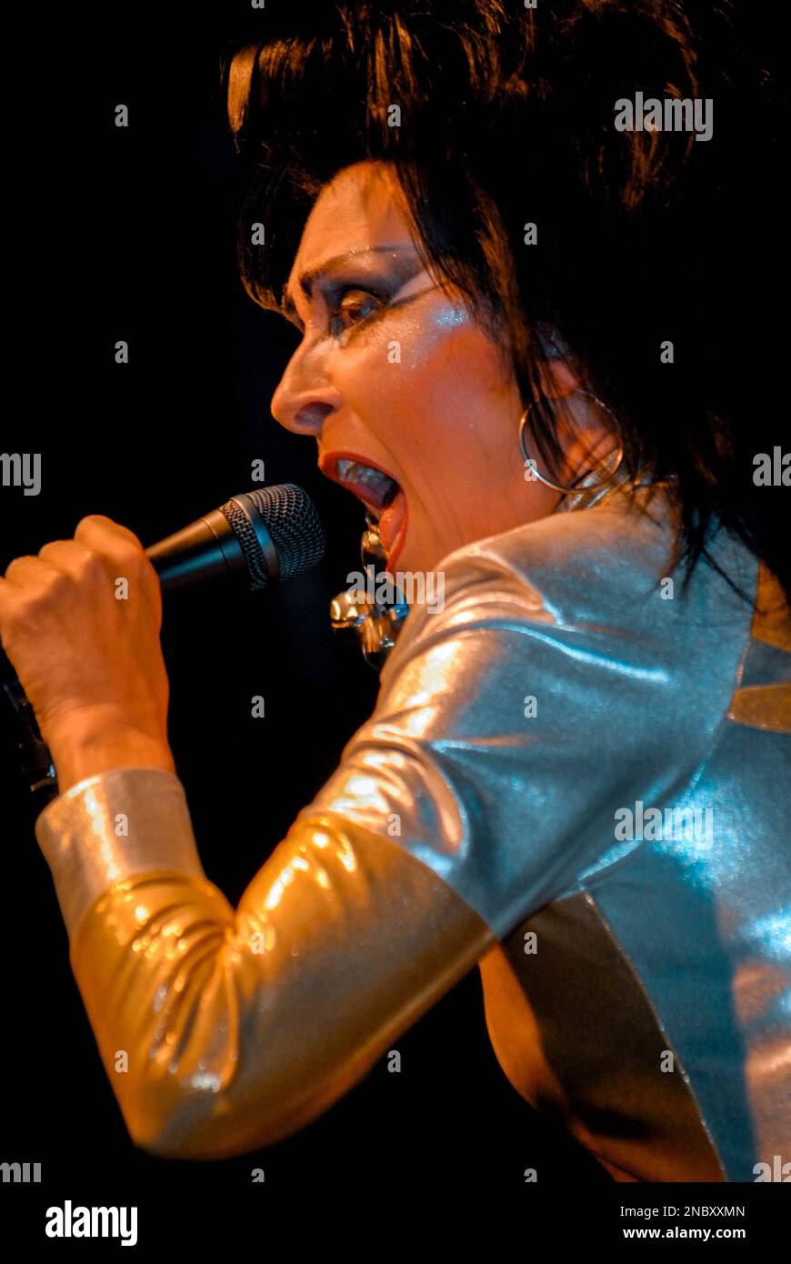 Siouxsie Sioux - Siouxsie and the Banshees, V2008, Hylands Park, Chelmsford, Essex, Regno Unito - 16 agosto 2008 Foto Stock