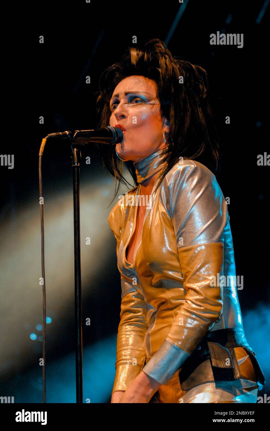 Siouxsie Sioux - Siouxsie and the Banshees, V2008, Hylands Park, Chelmsford, Essex, Regno Unito - 16 agosto 2008 Foto Stock