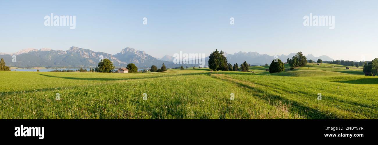 Una vista panoramica estiva delle Alpi con il Tegelberg di fronte al Forggensee e un prato verde in Germania. Foto Stock