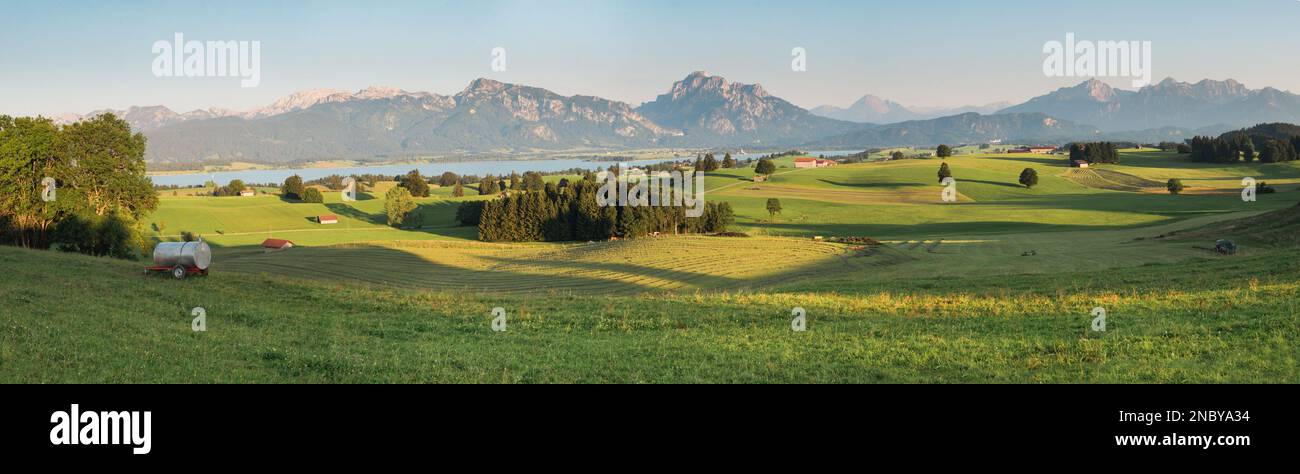 Una vista panoramica estiva delle Alpi con il Tegelberg di fronte al Forggensee e un prato verde in Germania. Foto Stock