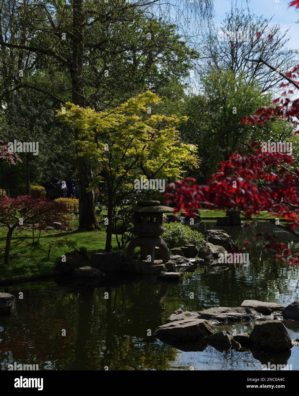 Londra - 04 11 2022: Dettaglio del lago nel giardino di Kyoto in Holland Park Foto Stock