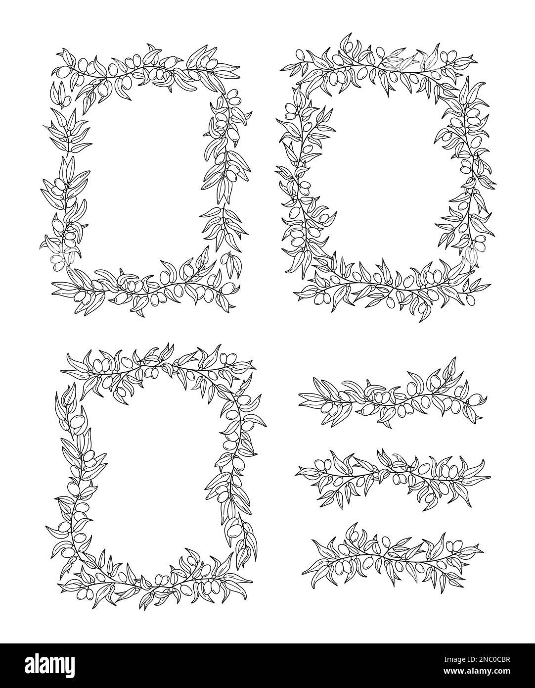 Bordo a foglia d'oliva, cornice quadrata naturale. Ornamento con ramo vegetale per alimenti biologici, agricoltura greca, prodotto naturale italiano. Imballo di verdure, cucina e olio disegnato a mano. Elementi del modello vettore Illustrazione Vettoriale