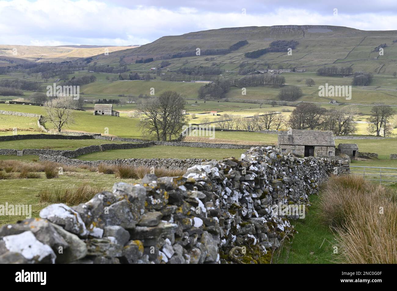 Wensleydale Yorkshire Regno Unito Foto Stock