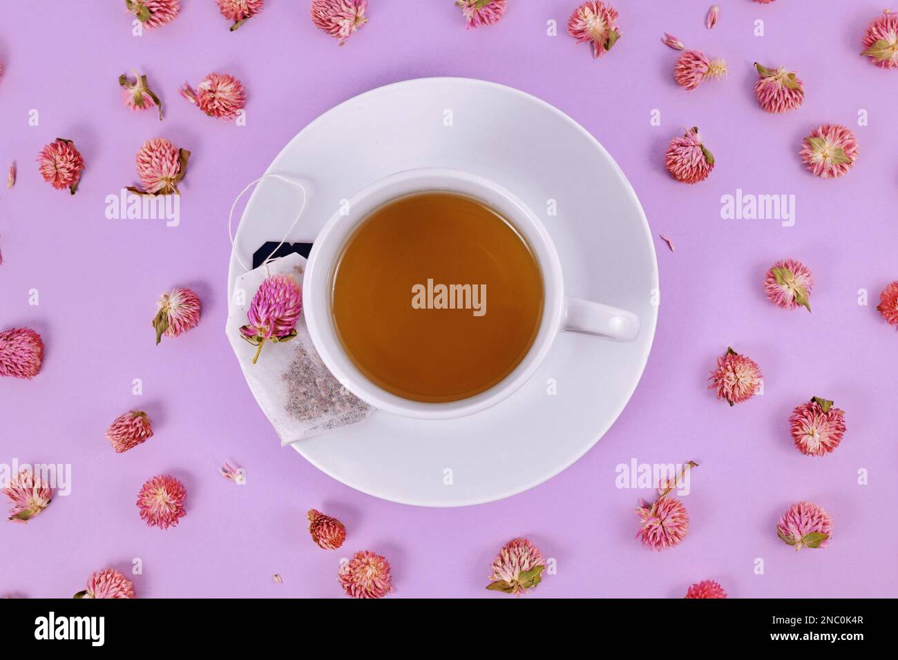 Tazza di tè circondata da fiori di amaranto a globo secco su sfondo viola Foto Stock