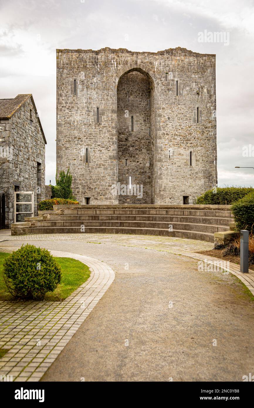 Castello di Listowel, 15th ° secolo, Irlanda Foto Stock