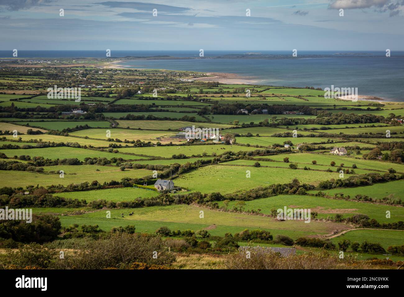 Campagna irlandese, Contea di Kerry, Irlanda Foto Stock