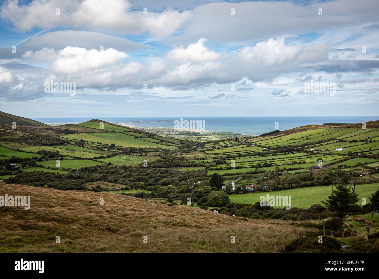 Campagna irlandese, Contea di Kerry, Irlanda Foto Stock