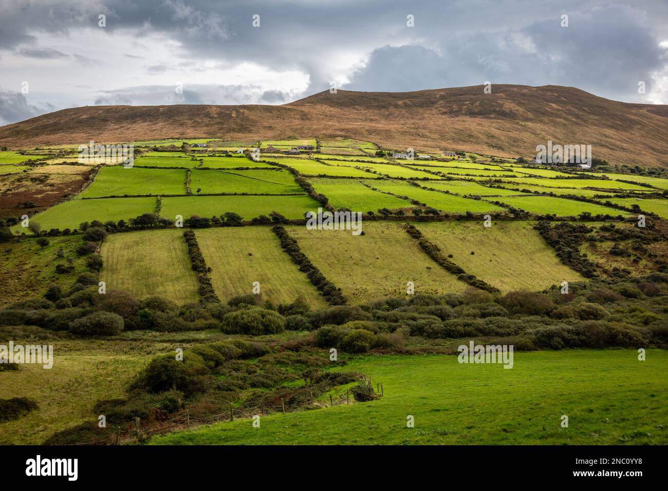 Campagna irlandese, Contea di Kerry, Irlanda Foto Stock