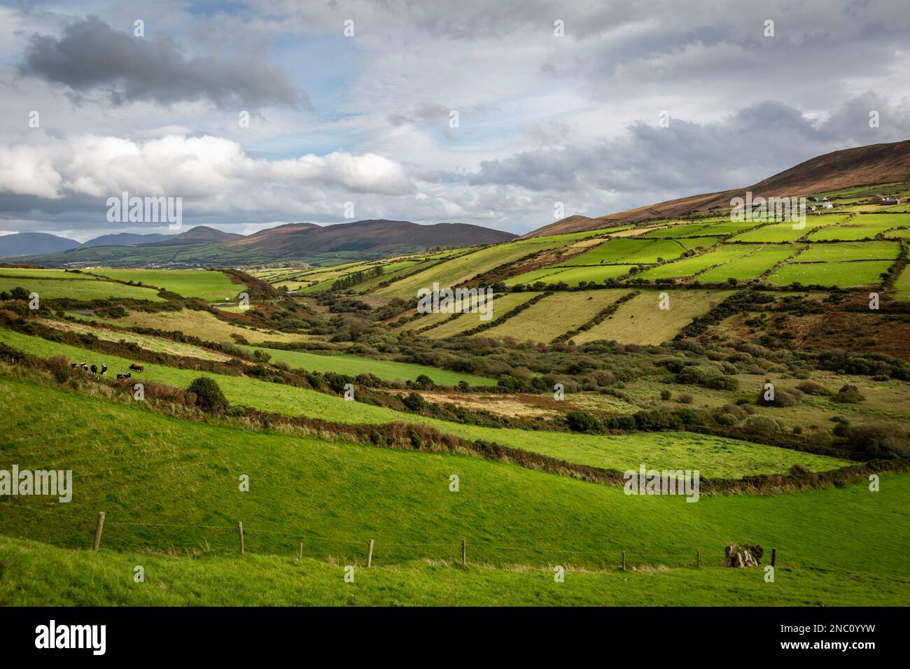 Campagna irlandese, Contea di Kerry, Irlanda Foto Stock