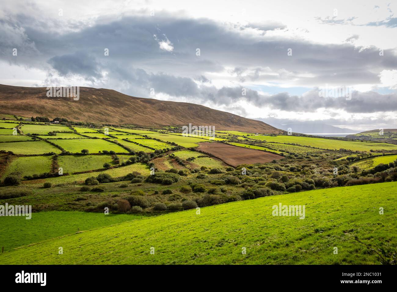 Campagna irlandese, Contea di Kerry, Irlanda Foto Stock