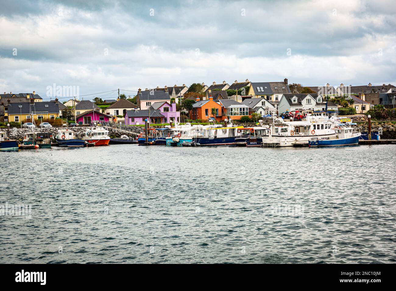 Porto di Dingle, Contea di Kerry, Irlanda Foto Stock