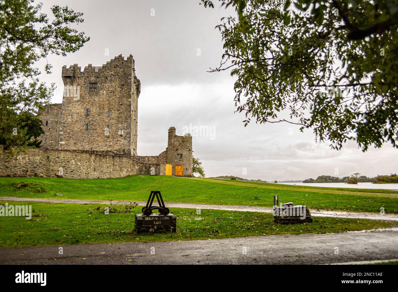 Ross Castle, County Kerry, Irlanda Foto Stock