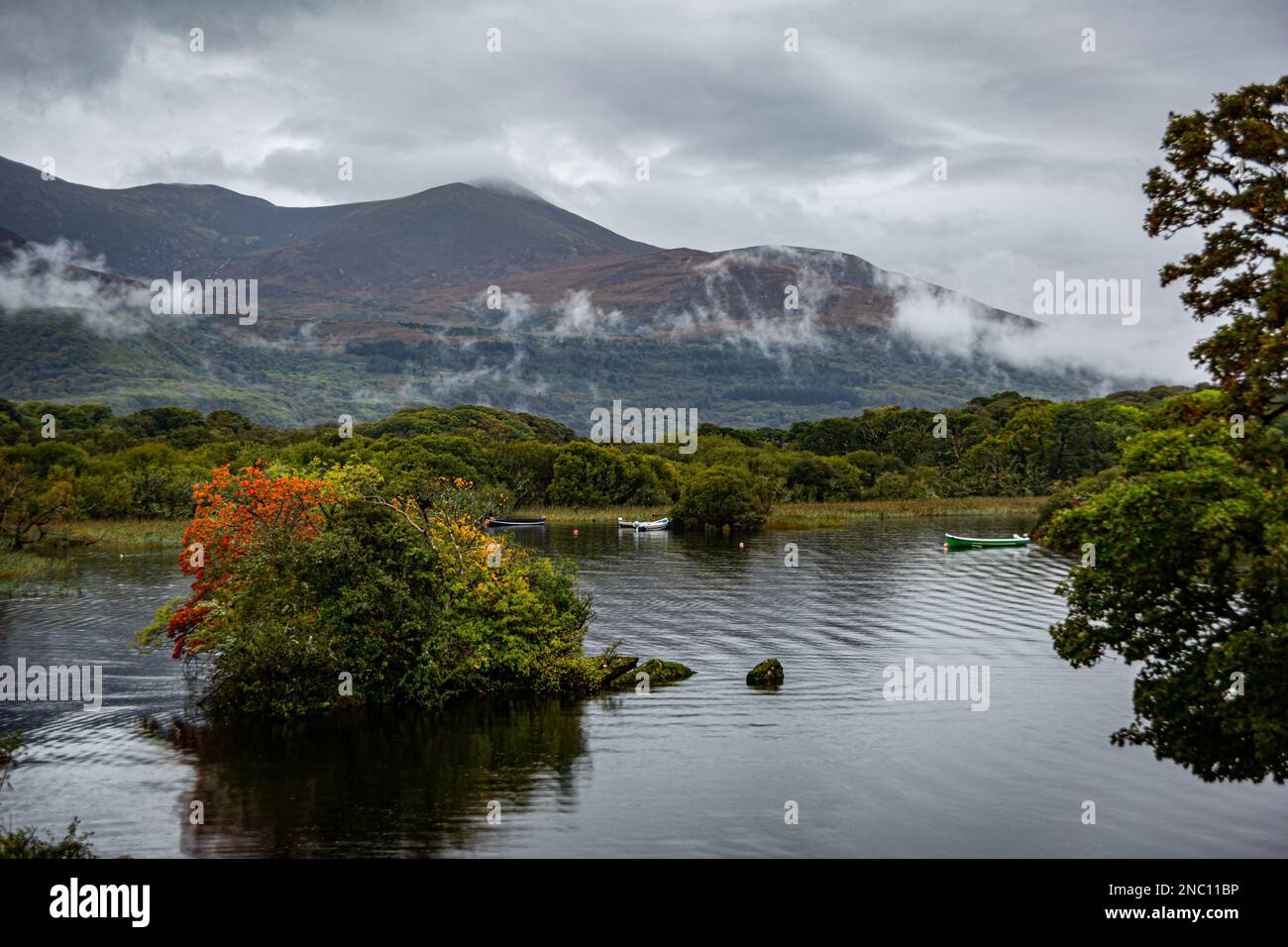 Parco Nazionale di Killarney, nella contea di Kerry, Irlanda Foto Stock