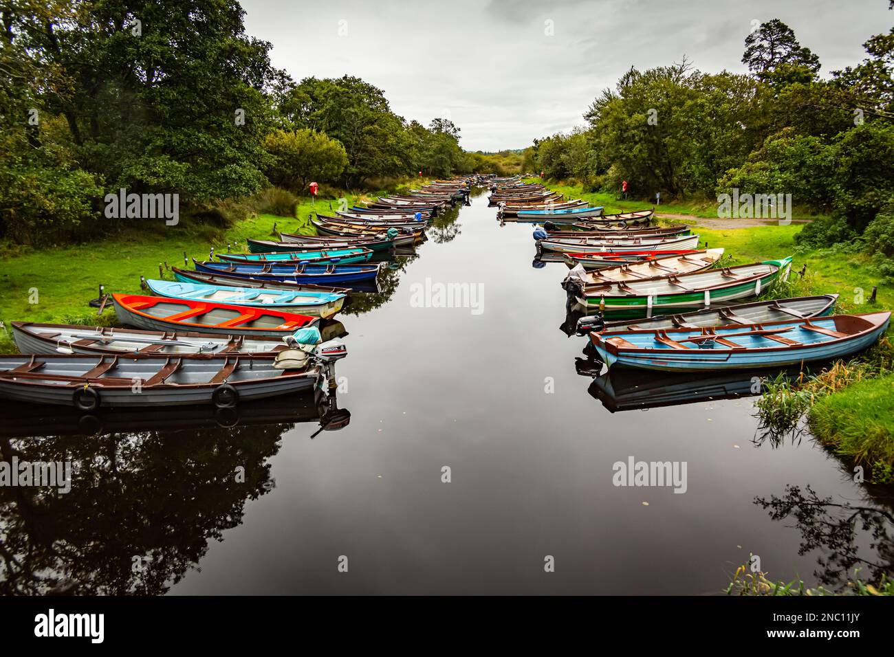 Coloratissimo Irish Dory's. Foto Stock