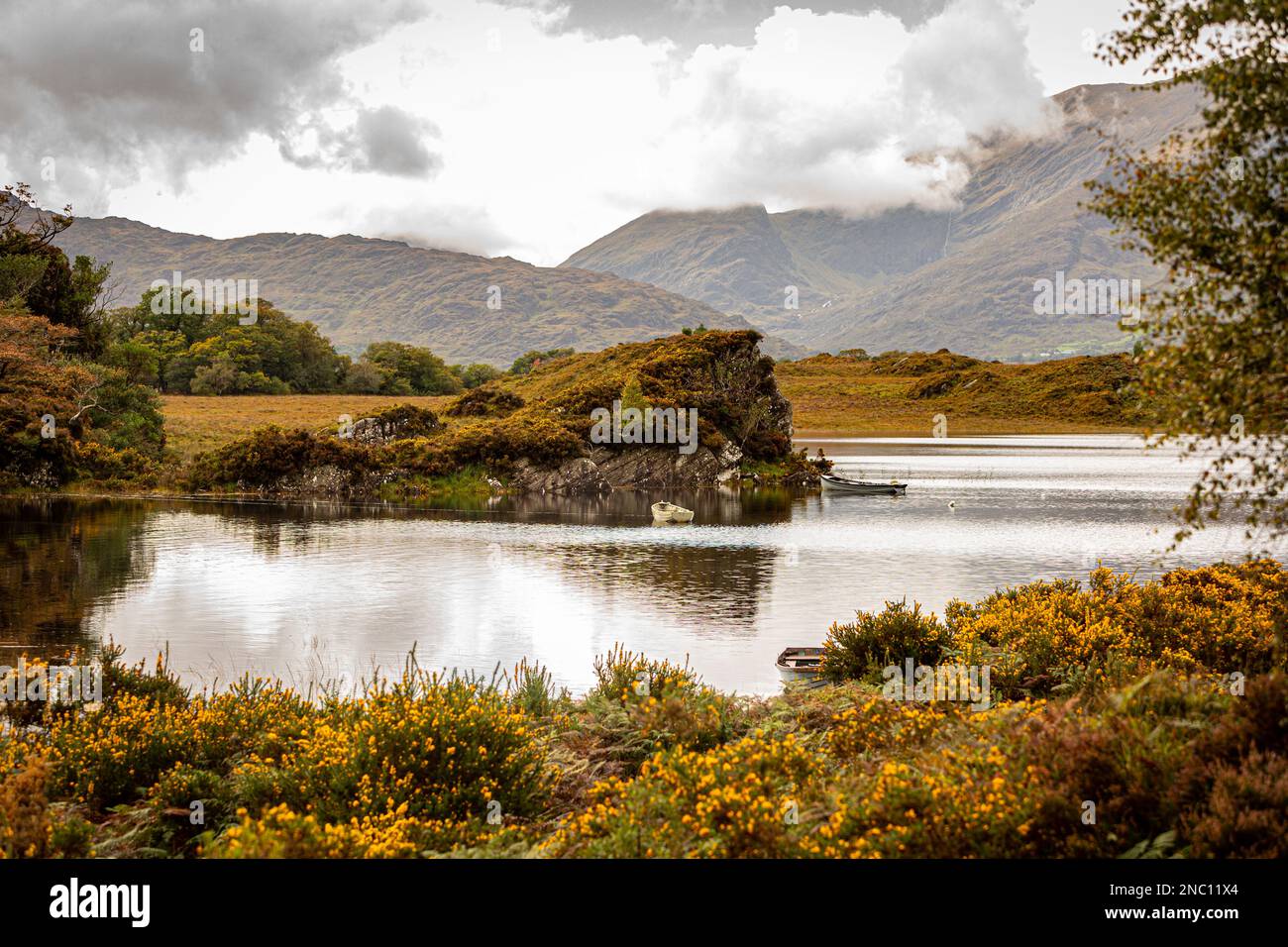 Parco Nazionale di Killarney, nella contea di Kerry, Irlanda Foto Stock