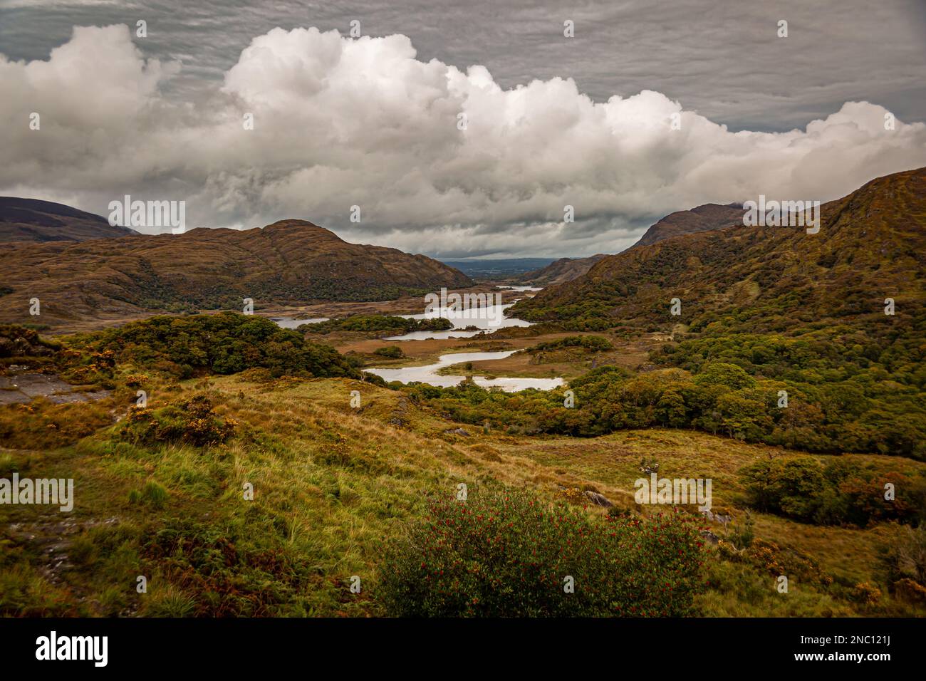 Parco Nazionale di Killarney, nella contea di Kerry, Irlanda Foto Stock