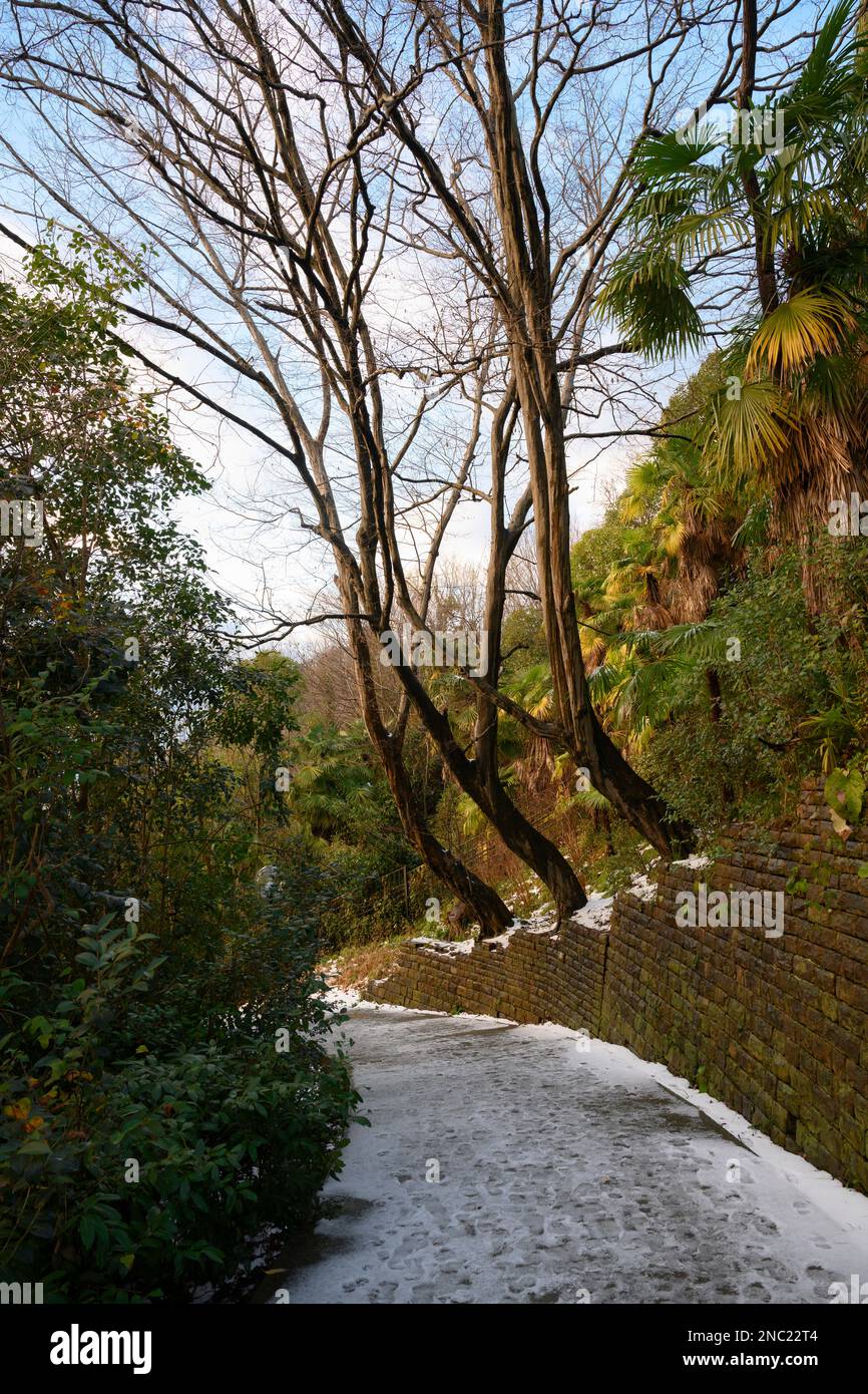 Un sentiero in montagna sulla costa subtropicale del Mar Nero in inverno Foto Stock