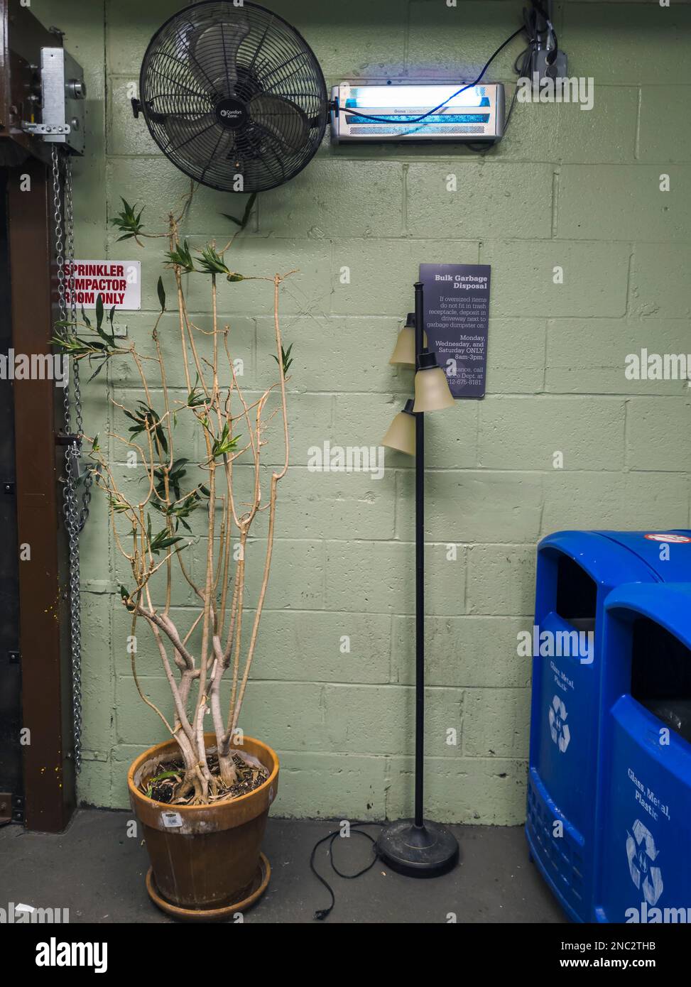 Albero morto e altri detriti nella zona di riciclaggio di un edificio di appartamenti a New York il Sabato, 11 febbraio 2023. (© Richard B. Levine) Foto Stock