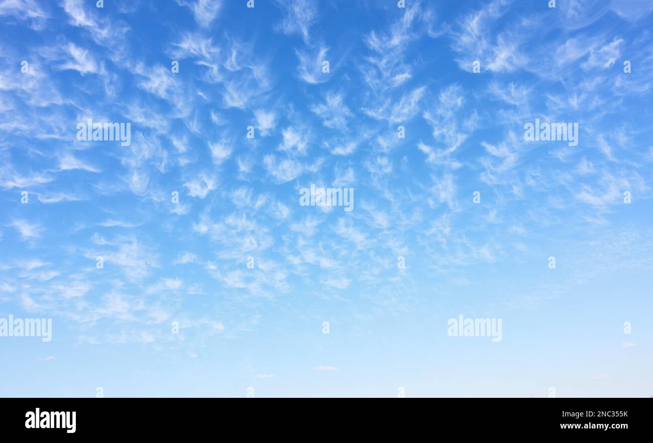 Vista panoramica del bellissimo cielo blu primavera con molte nuvole bianche. Sfondo astratto con spazio per il testo Foto Stock