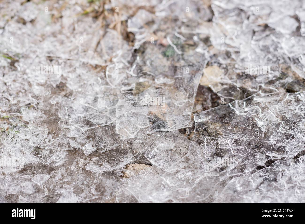 Crosta di ghiaccio sulla terra. Natura invernale. Acqua congelata. Clima freddo. Sfondo ghiaccio in fusione. Natura gelida nei dettagli. Ghiaccio tritato su erba. Primo piano su ghiaccio Foto Stock