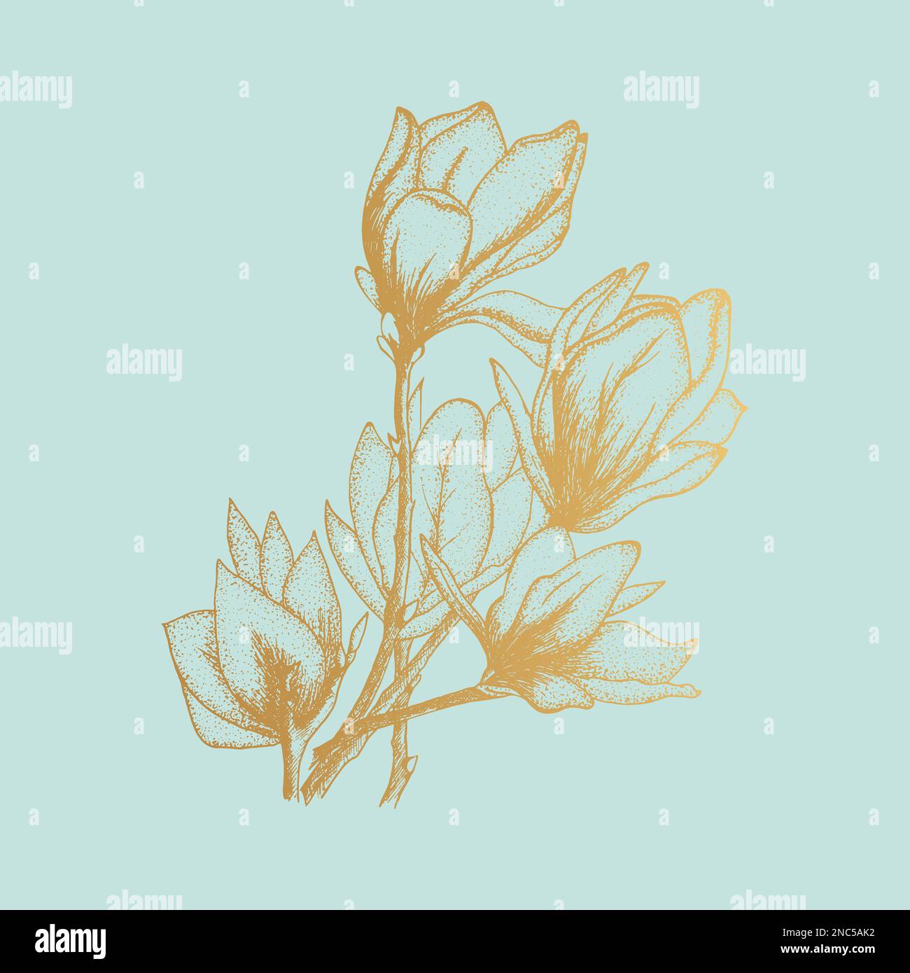 Fiori d'oro, illustrazione vettoriale, grazie schede isolate su sfondo bianco Illustrazione Vettoriale