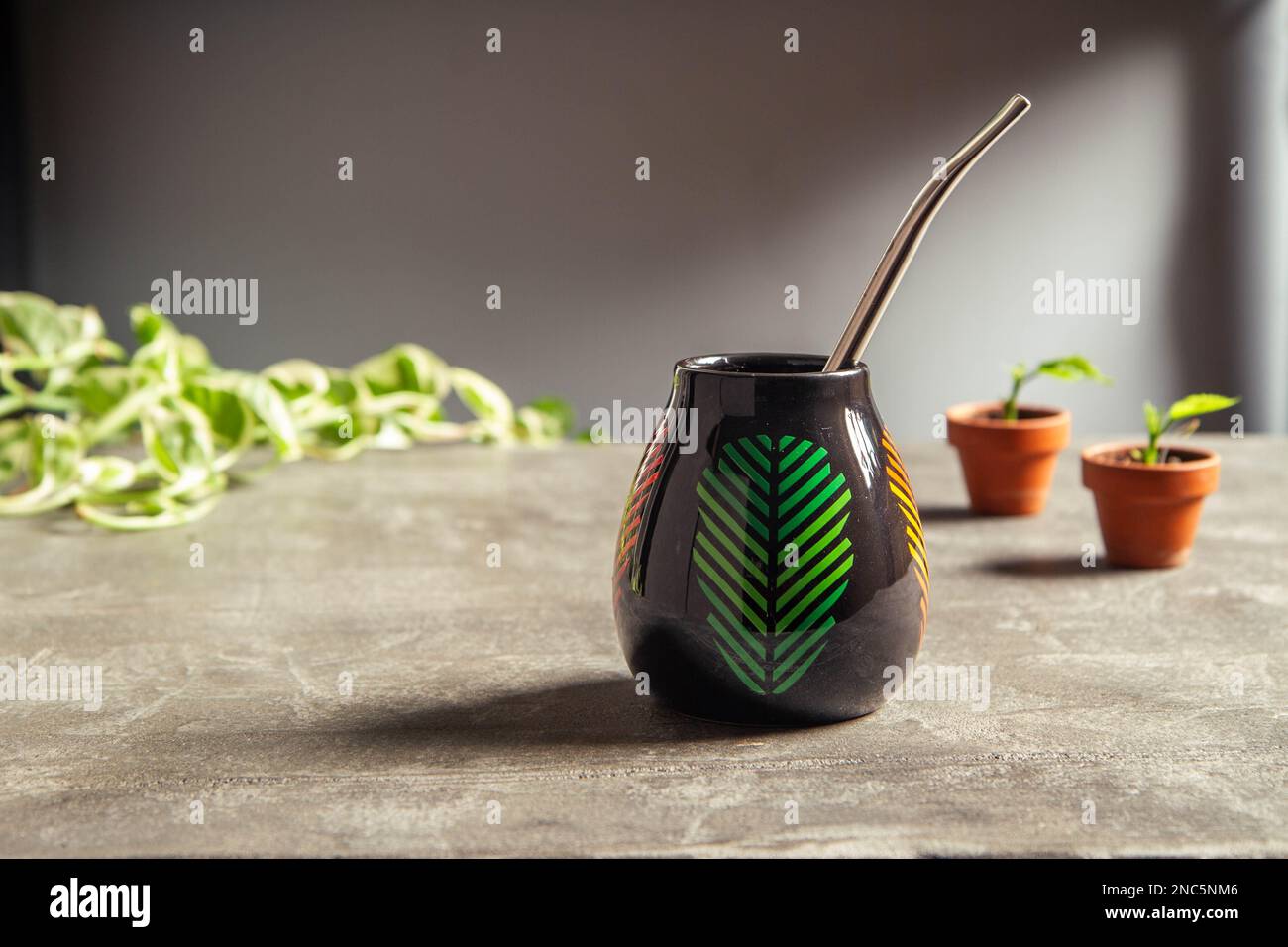 tazza di yerba mate in ceramica piuttosto lucente, con cannuccia di metallo  su un banco in cemento con piccole pentole in terracotta e pianta di viti  pothos Foto stock - Alamy