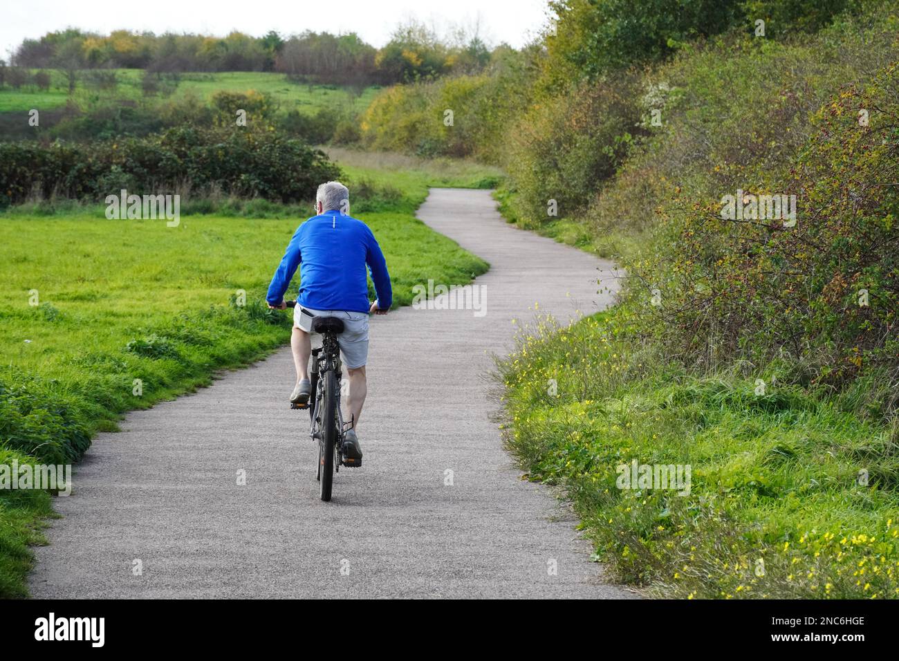 Ciclista anziana su un percorso in autunno parco, Essex Inghilterra Regno Unito Regno Unito Foto Stock