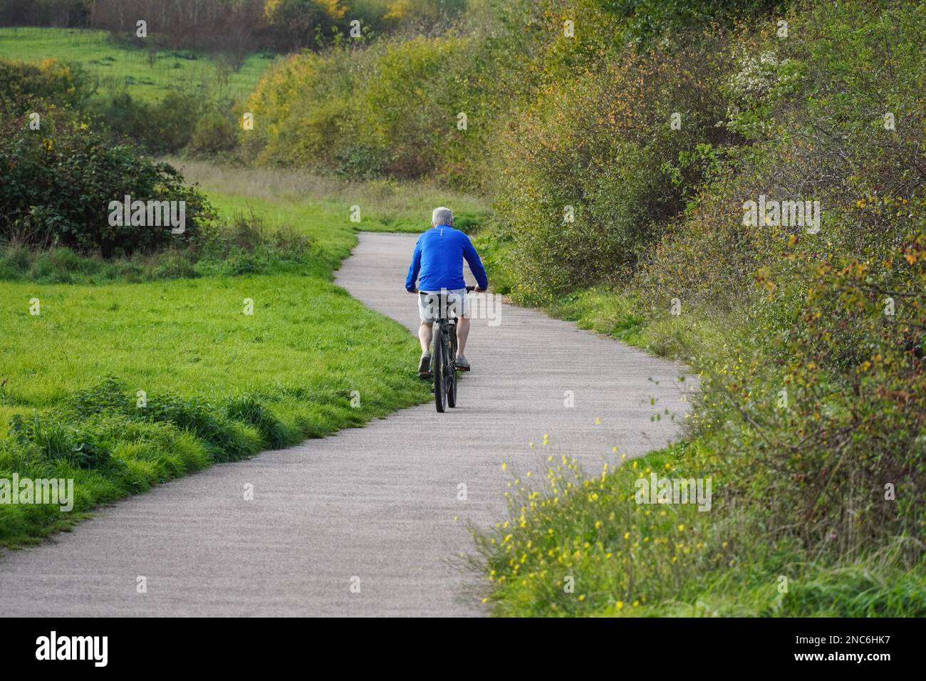 Ciclista anziana su un percorso in autunno parco, Essex Inghilterra Regno Unito Regno Unito Foto Stock