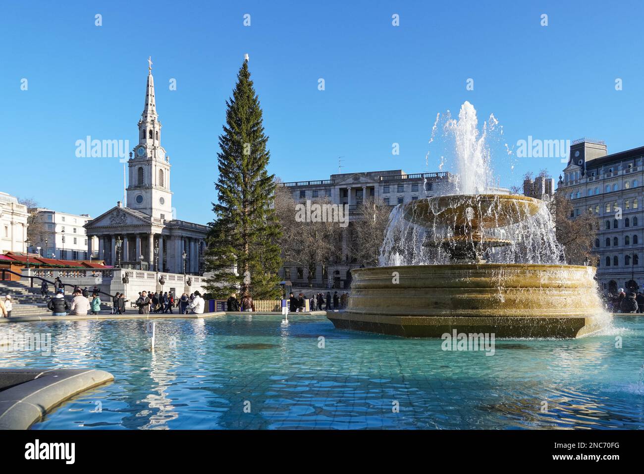 Albero di natale a Trafalgar Square, Londra England Regno Unito Regno Unito Foto Stock