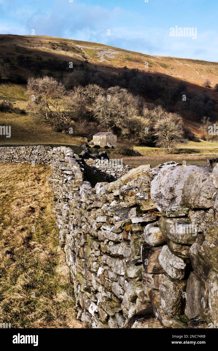 Vista invernale delle tradizionali pareti in pietra a secco e del fienile, Muker, Swaledale, Yorkshire Dales National Park Foto Stock