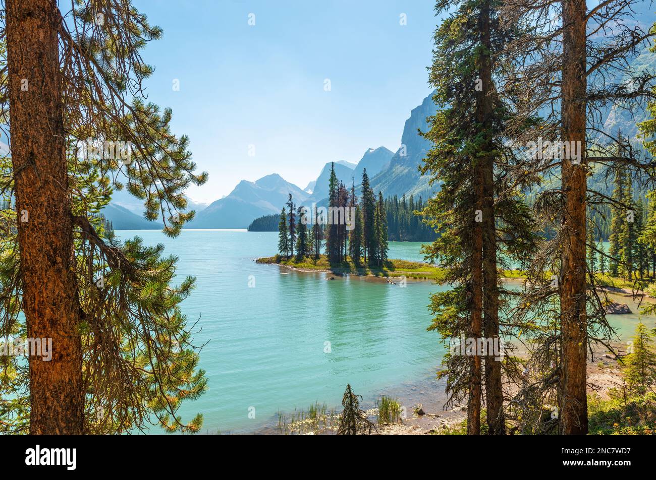 Spirit Island tra una pineta sul lago Maligne, il parco nazionale Jasper, Alberta, Canada. Foto Stock