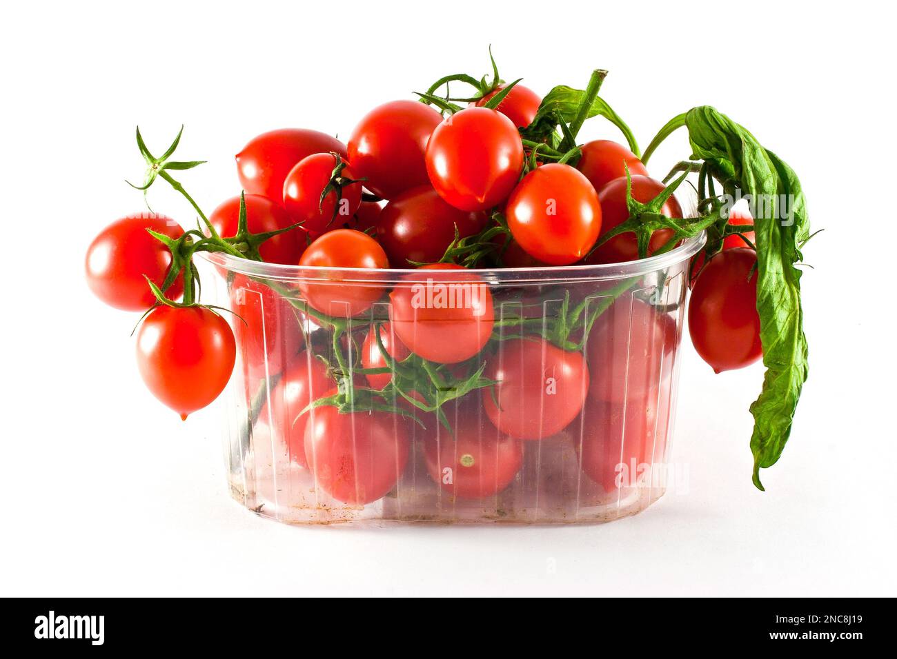 Grappoli di pomodori con rami in imballaggi di plastica su fondo bianco Foto Stock