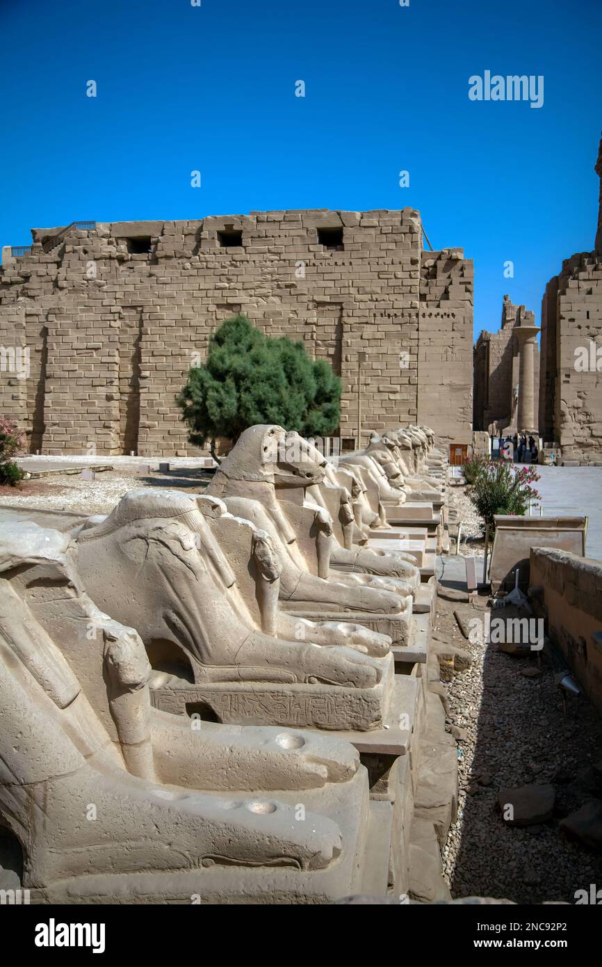 Luxor, Egitto. Il complesso del Tempio di Karnak, comprende un vasto mix di templi decadenti. Questo è l'ingresso principale al tempio con i Rams di Amon Foto Stock