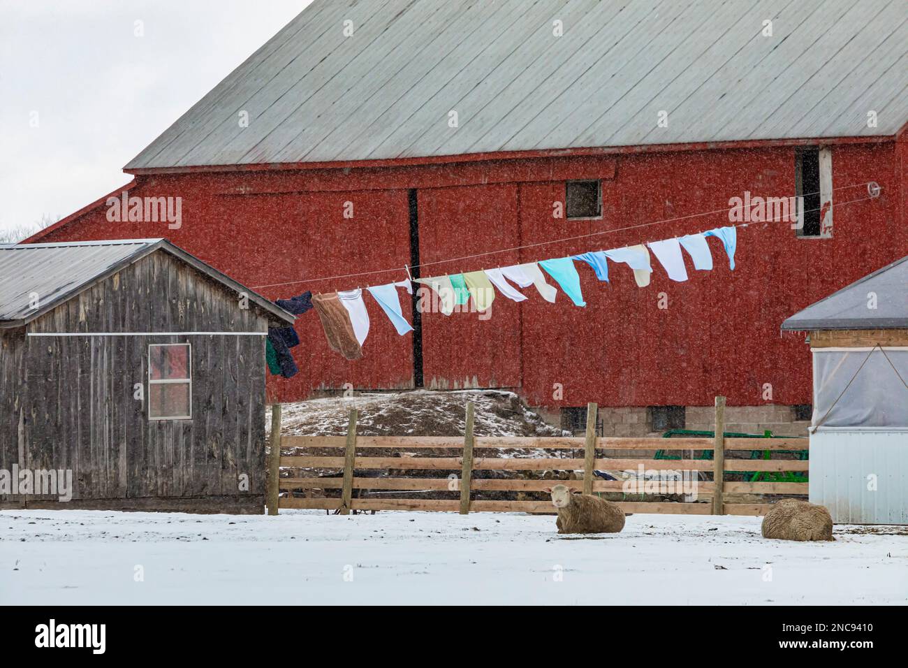 Lavanderia appesa a un alto vestito su una puleggia in una fattoria Amish in Michigan, USA [Nessun rilascio di proprietà; solo licenza editoriale] Foto Stock