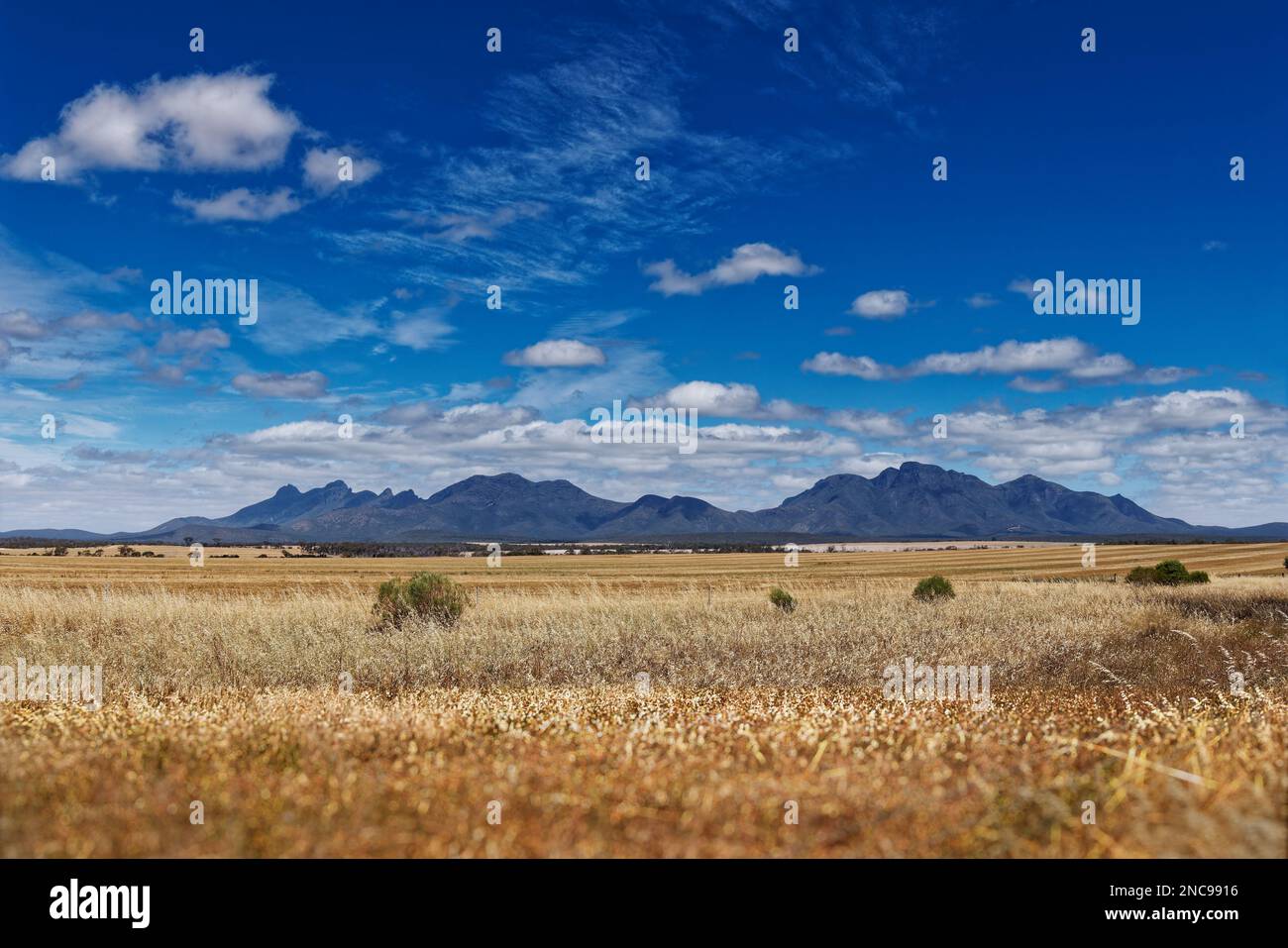 Stirling Range o Koikyennuruff paesaggio paesaggistico, bella montagna Parco Nazionale in Australia Occidentale, con la cima più alta Bluff Knoll. Strada verso A. Foto Stock