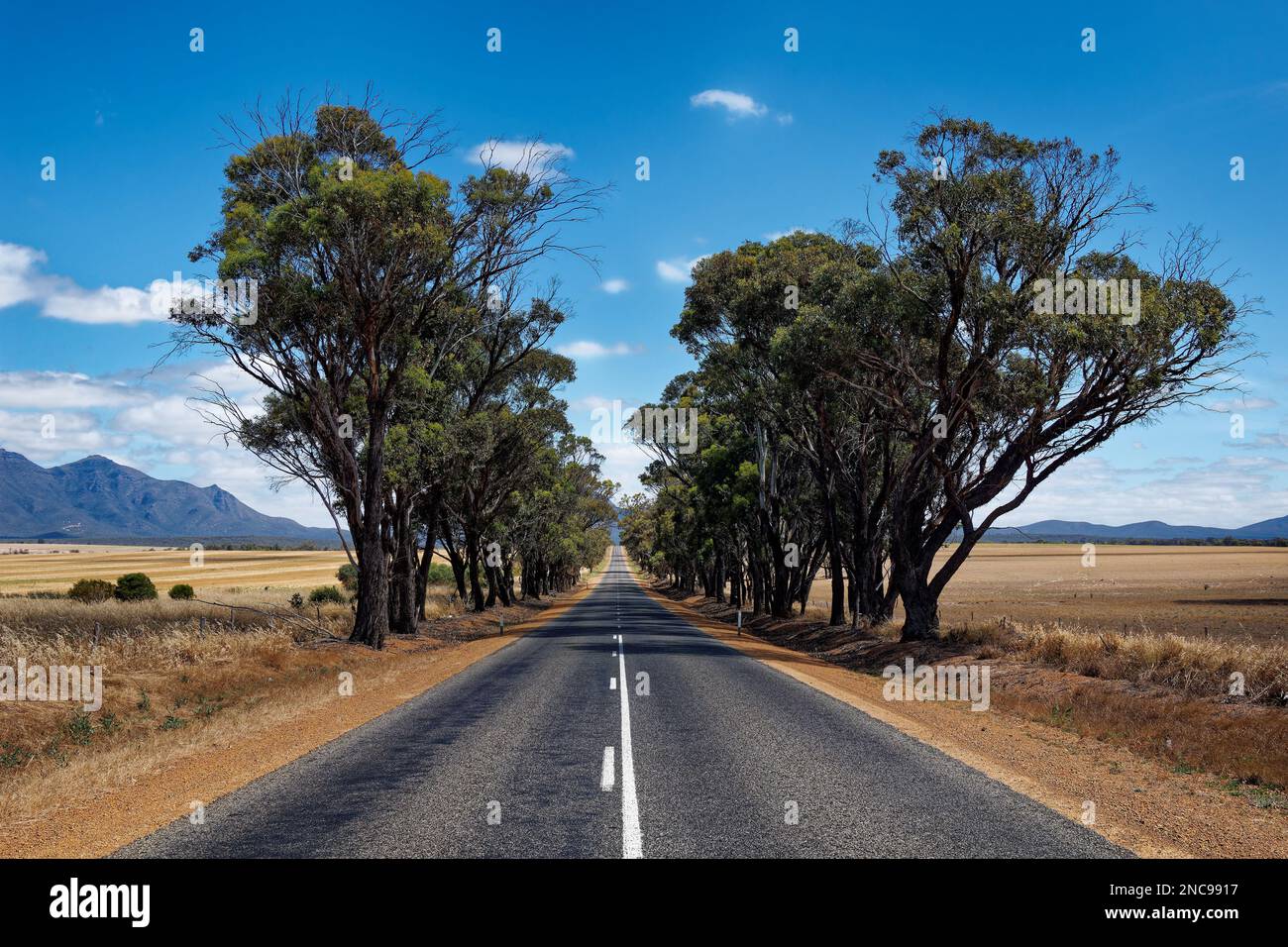 Strada per le montagne rocciose Stirling Range o Koikyennuruff paesaggio paesaggio, bella montagna National Park in Australia occidentale, con il più alto Foto Stock